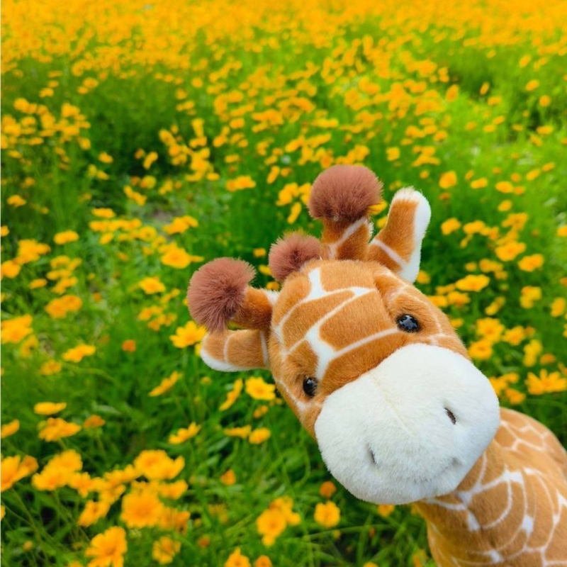 ตุ๊กตายีราฟเนื้อนุ่มมากสำหรับเ - Kids Toys Very บทวิจารณ์และราคา